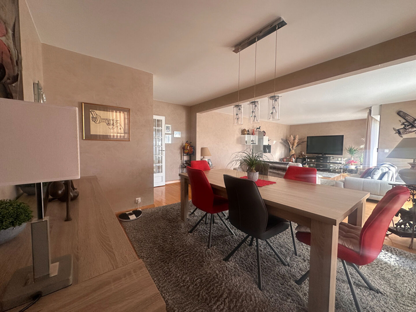 Image_, Appartement, Annemasse, ref :12951aSL4