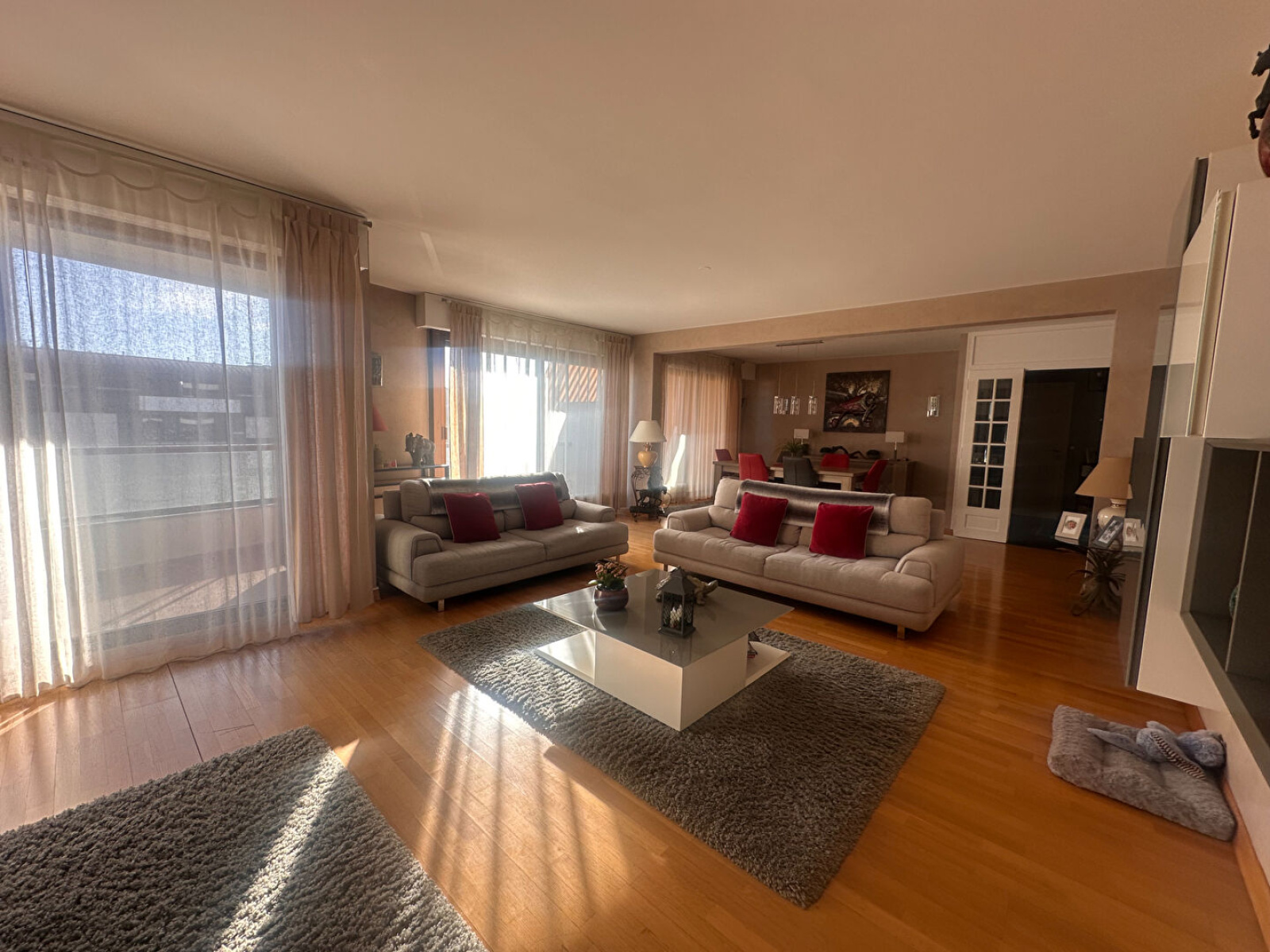 Image_, Appartement, Annemasse, ref :12951aSL4