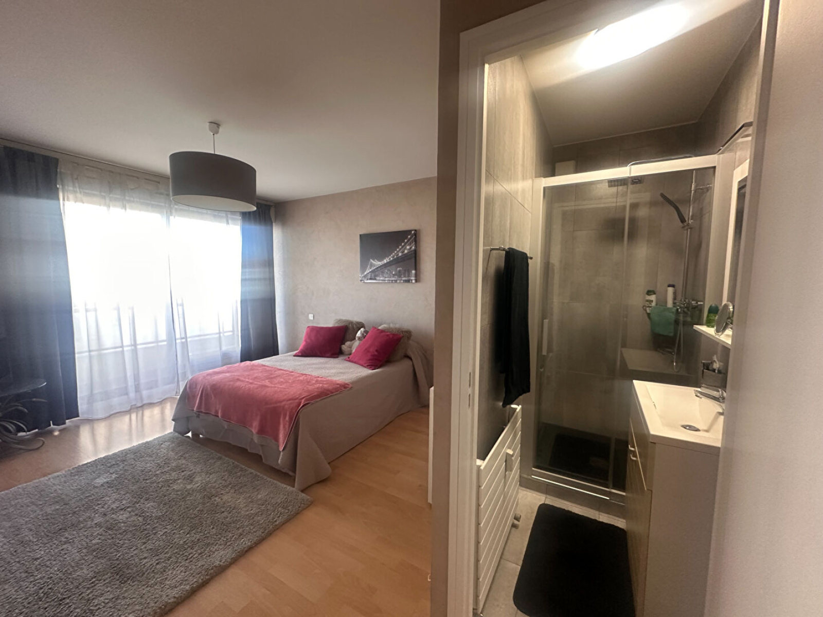 Image_, Appartement, Annemasse, ref :12951aSL4