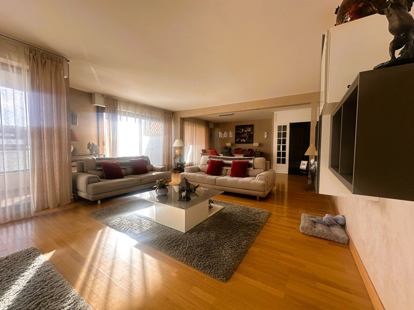 Image_, Appartement, Annemasse, ref :12951aSL4