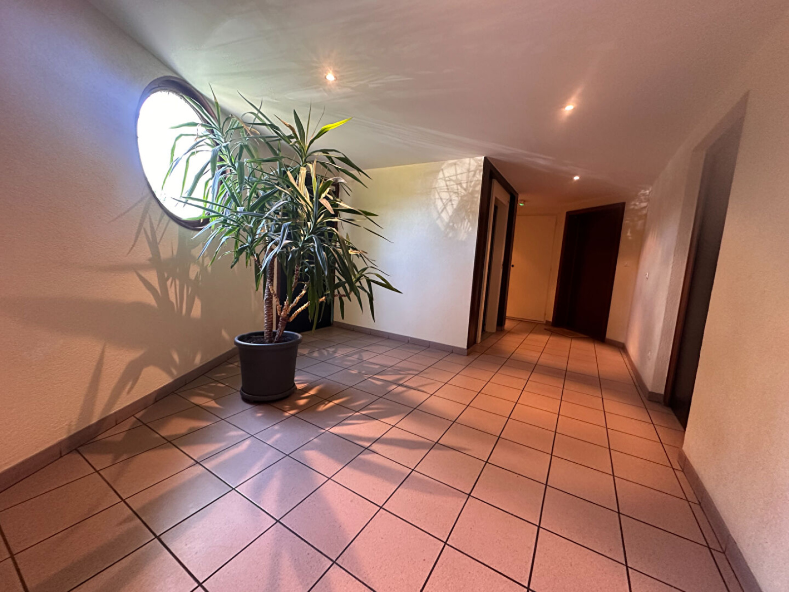 Image_, Appartement, Annemasse, ref :13584