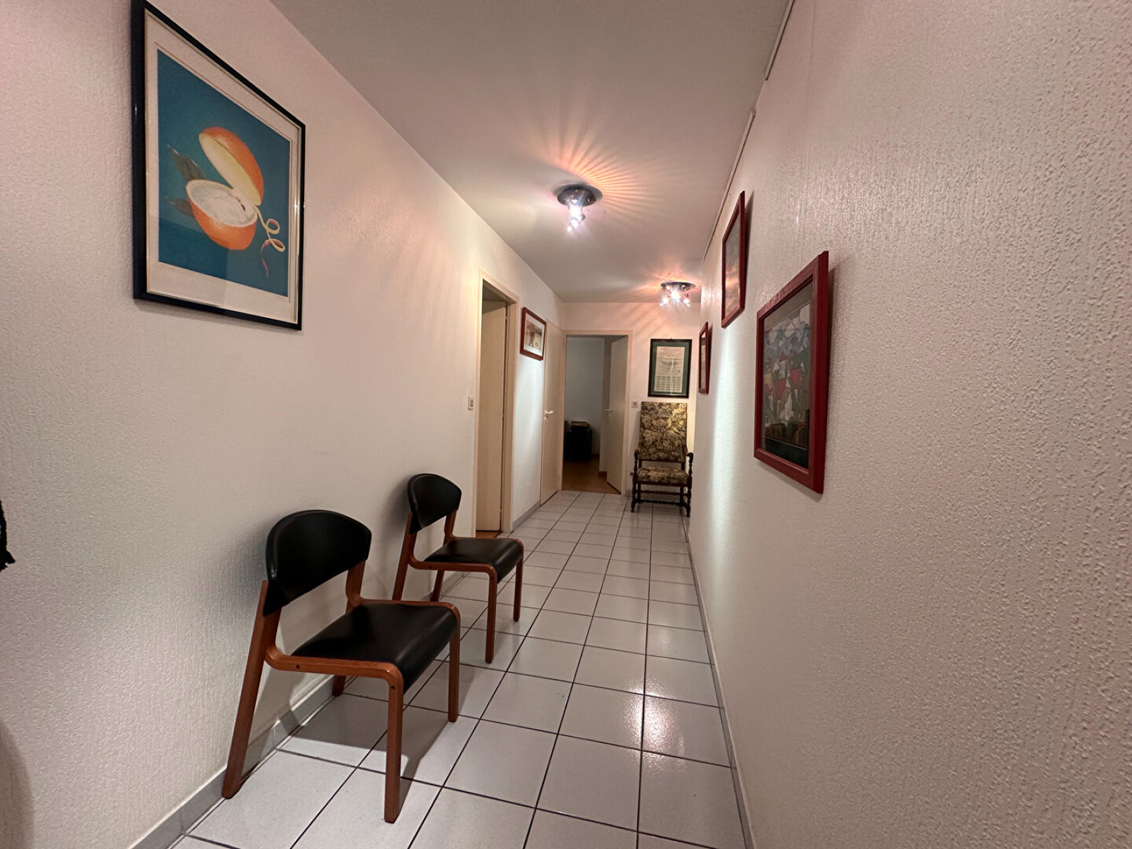 Image_, Appartement, Annemasse, ref :13561SL4