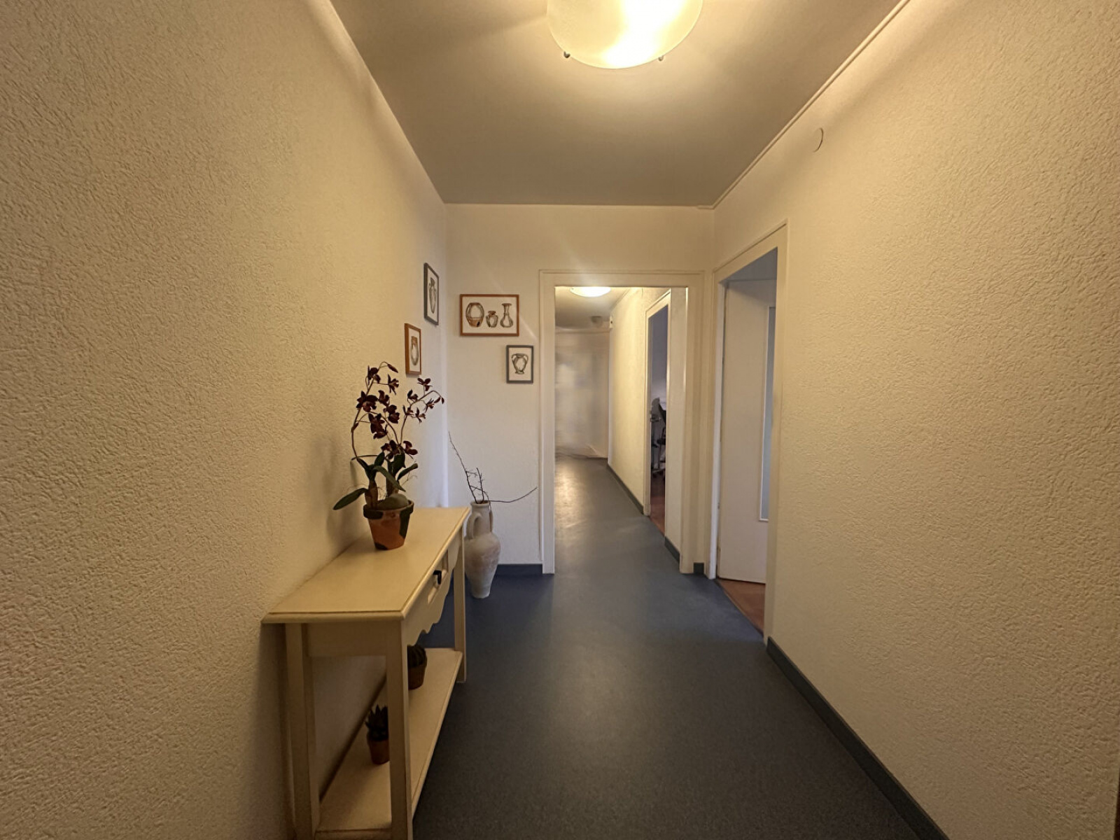 Image_, Appartement, Annemasse, ref :13500